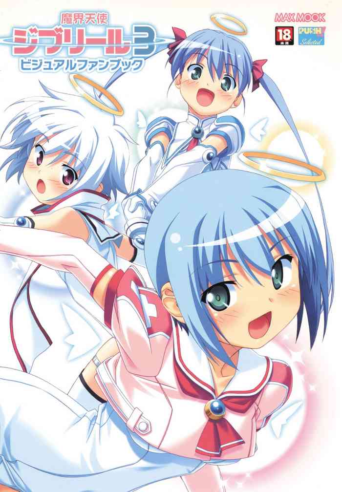Makai Tenshi Djibril 3 bizyuarufanbukku (Max mutuku Push Selected)