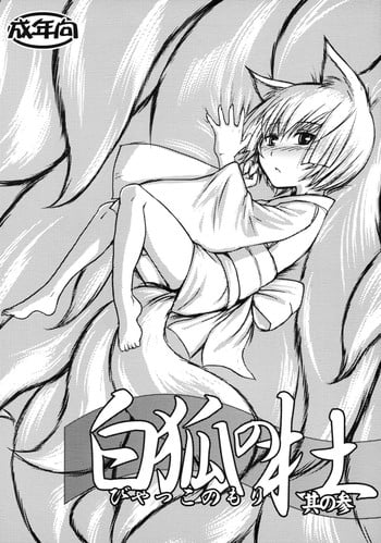 (SC41) [Tanmatsu Ijou (BadHanD)] Byakko no Mori Sono San