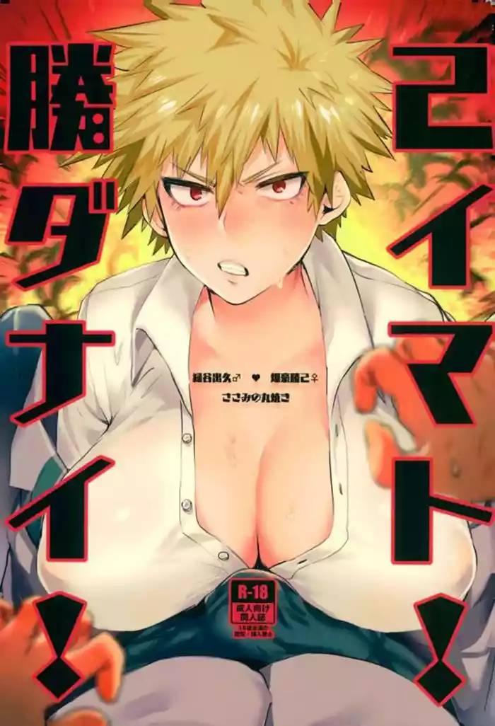 [Sasami no Maruyaki (Toribami Sasami)] Katsumi Dynamite!! (Boku no Hero Academia) [Digital] [English 25% done]