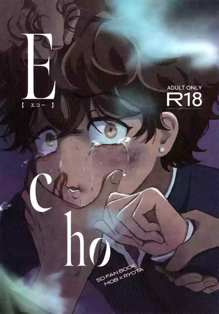 (ShotaFes 18) [Shiroi Heya (Wapin)] Echo (Slam Dunk)