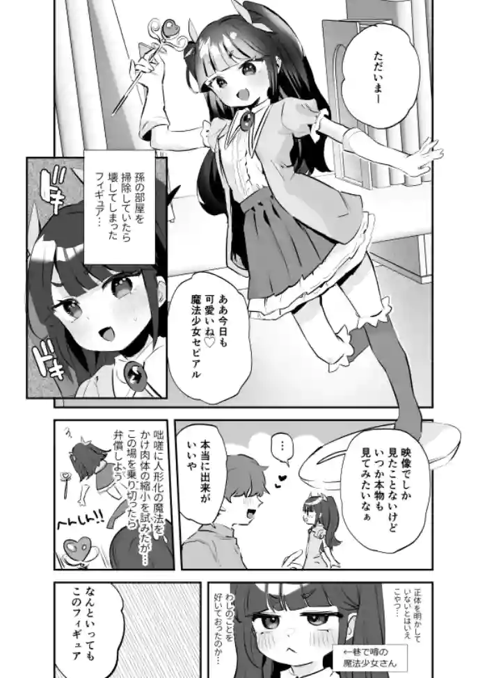 [Ronrinri Ronri] Mahou Shoujo (Sobo) ni Ningyou-ka de Suki Houdai Manga