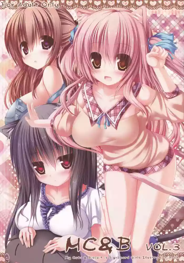 (C82) [Fukuneko Mofumofu (Syroh)] My Cats & Biscuit Vol.3