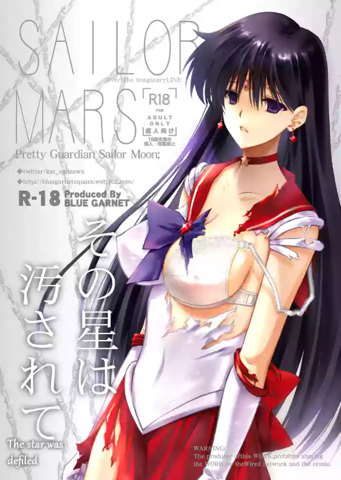 [Blue Garnet (Serizawa Katsumi)] The star was defiled (The star was defiled) [English]