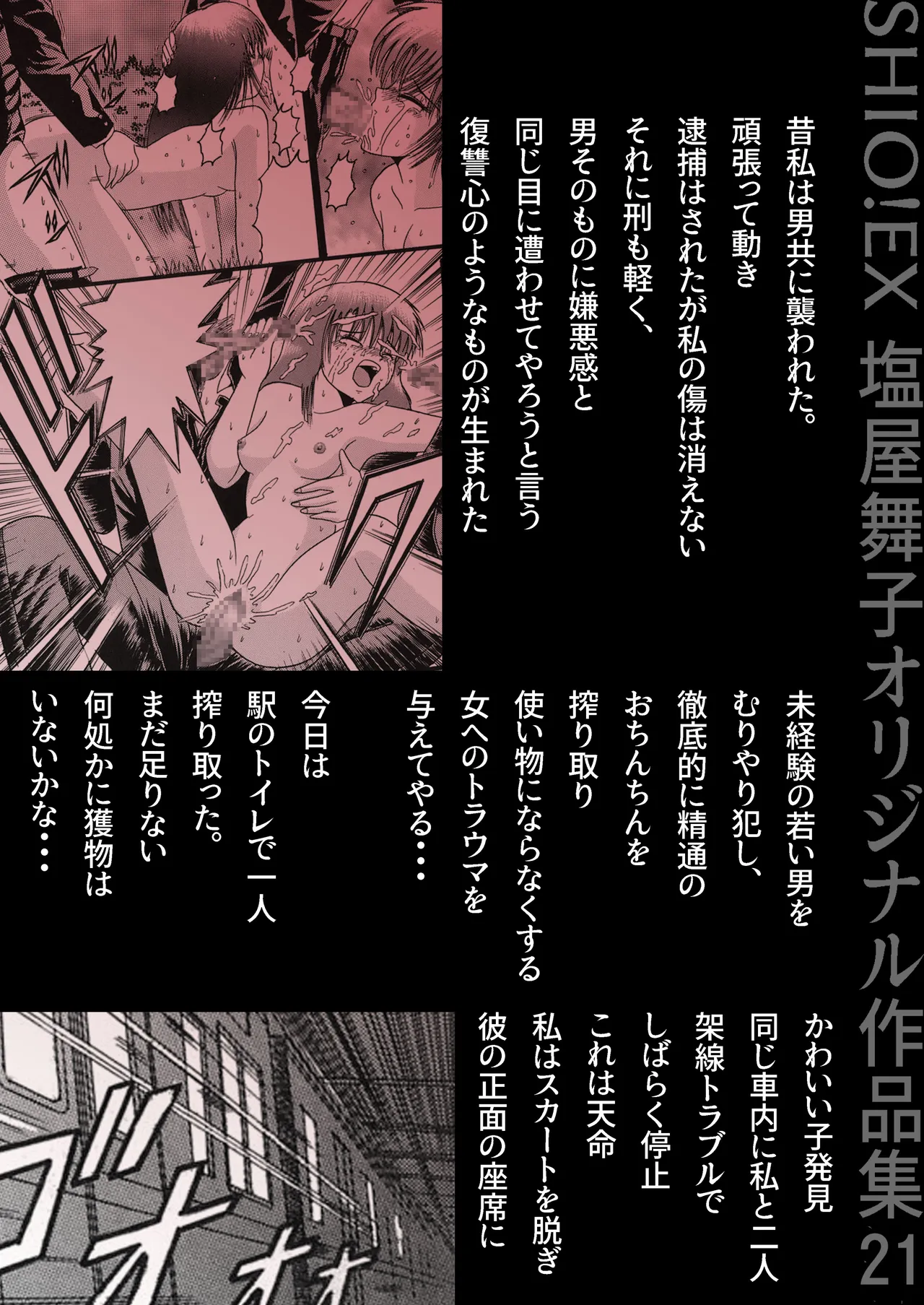 [Shioya (Shioya Maico)] SHIO!EX 21 [Digital]