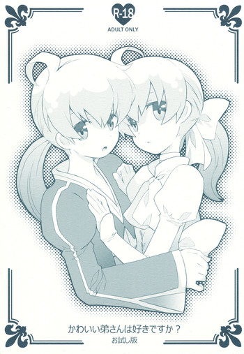 (C78) [Bakuhatsu BRS. (B.Tarou)] Kawaii Otouto-san wa Suki desu ka? Otameshiban (Final Fantasy Tactics)