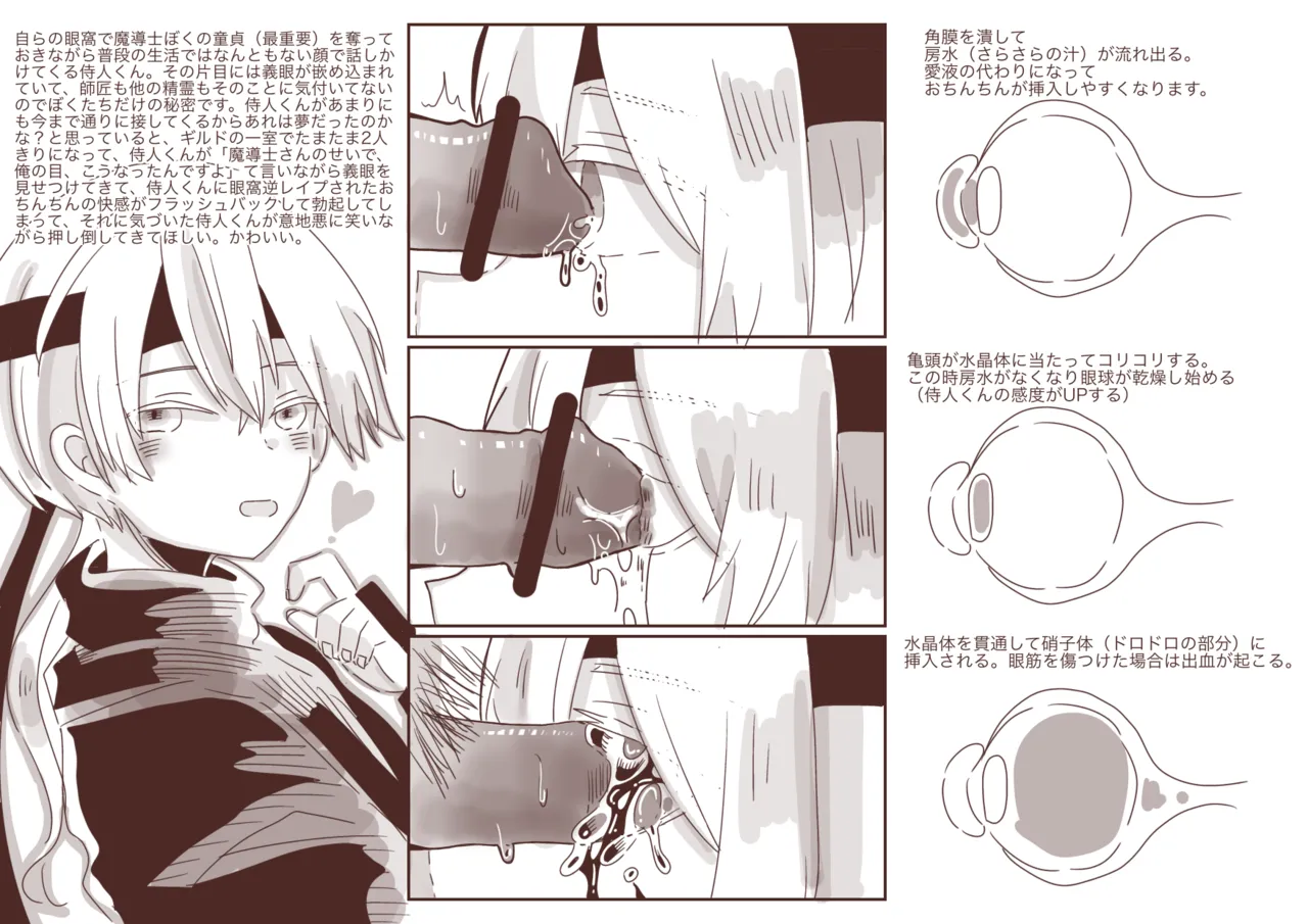 Samourail kun eye rape [Pixiv RIP]