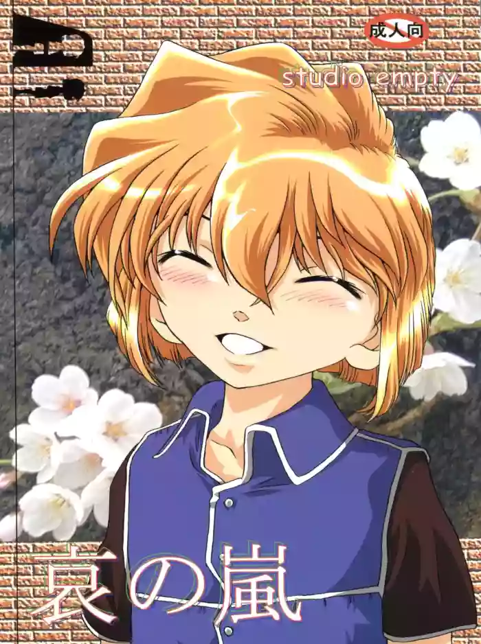 (C65) [Studio Empty (Nishi)] Ai no Arashi (Detective Conan) [Chinese]