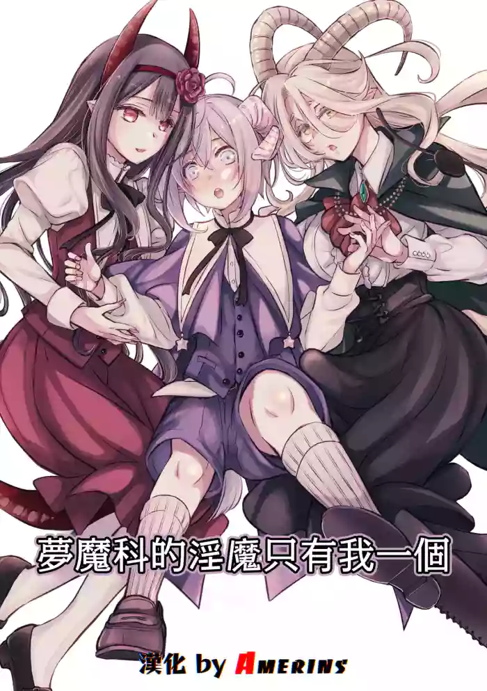 [Shishigashira] Mumaka no Inkyubasu wa Boku Hitori Deshita. [Chinese] [Amerins漢化]