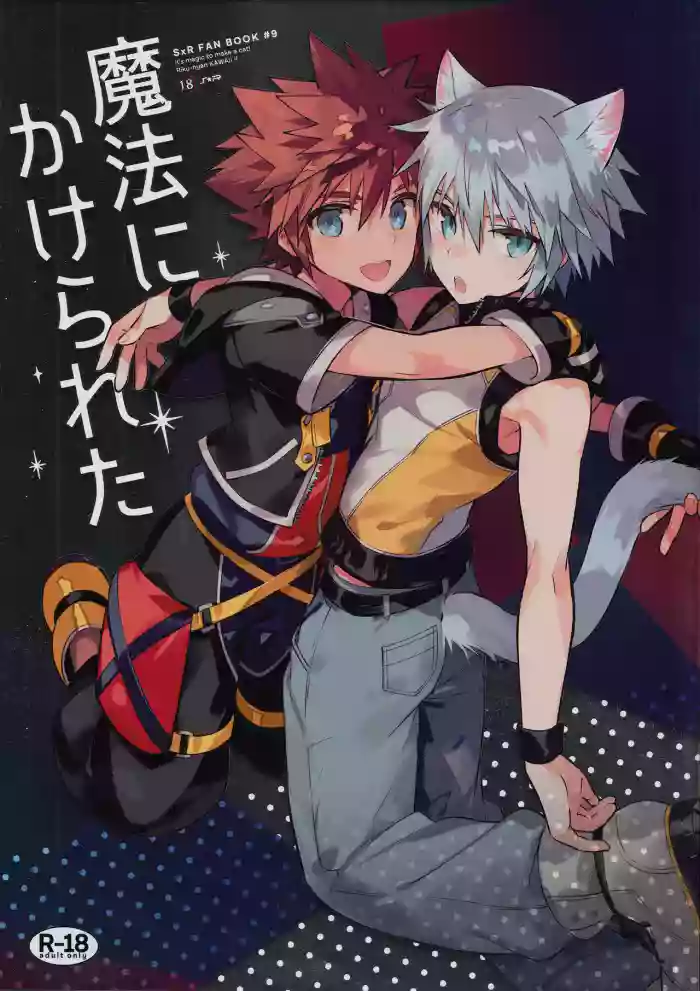 (C94) [esto (Ninomotoko)] Mahoni Kakerareta (Kingdom Hearts)