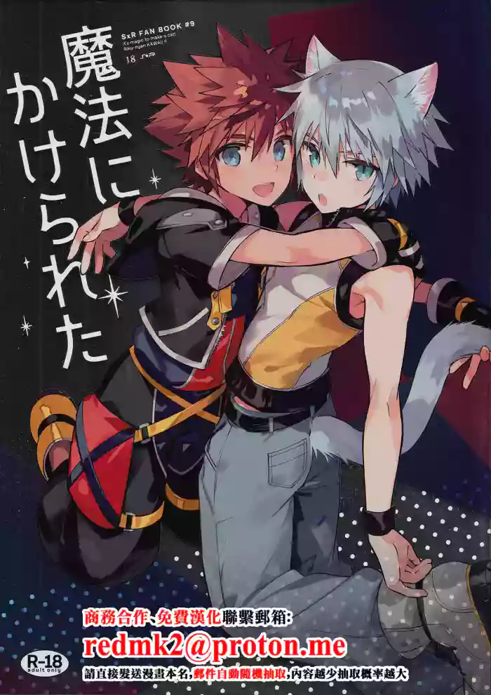 (C94) [esto (Ninomotoko)] Mahoni Kakerareta (Kingdom Hearts) [Chinese]