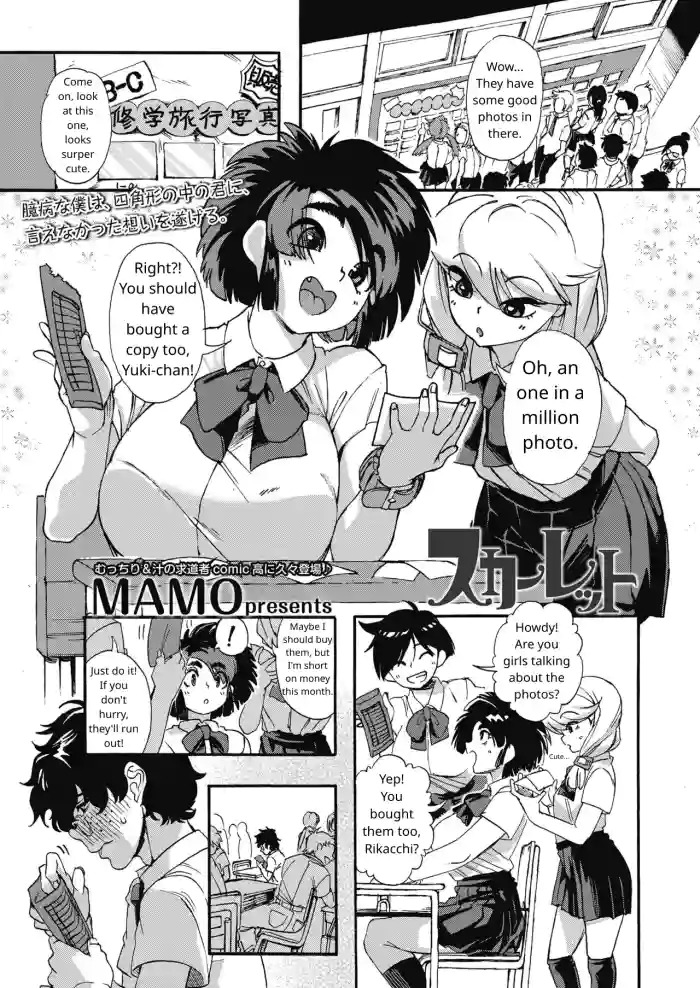 [MAMO] Scarlet (COMIC Koh 2018-11) [English] [Jinter] [Digital]