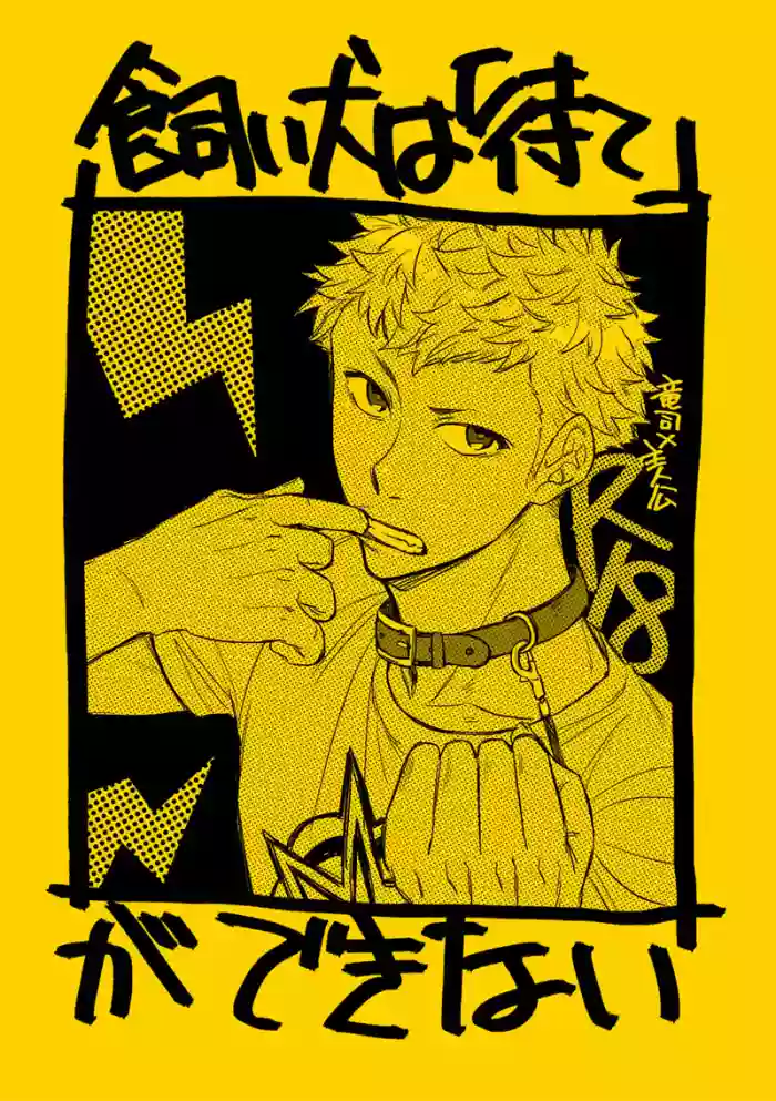 [SUSHIYA (Sushido Ayumu)] Kaiinu wa `mate' ga dekinai (Persona 5)
