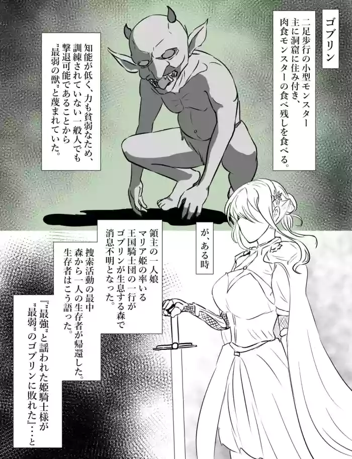 [Tomii Roba] Hime Kishi vs Goblin