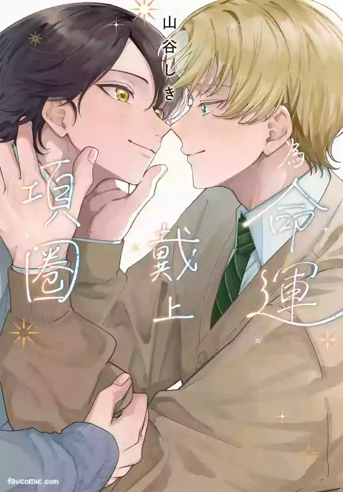 [YAMATANI Shiki] Ummei Ni Kubiwa Wo Tsukete︱为命运戴上项圈 [Chinese][全1卷]