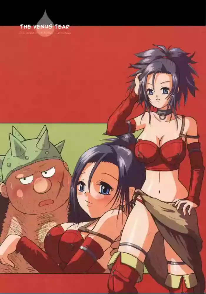 (C68) [Hime Mania (Aminosuke)] Venus no Namida | The Venus Tear (Dragon Quest VIII) [English] [EHCOVE]