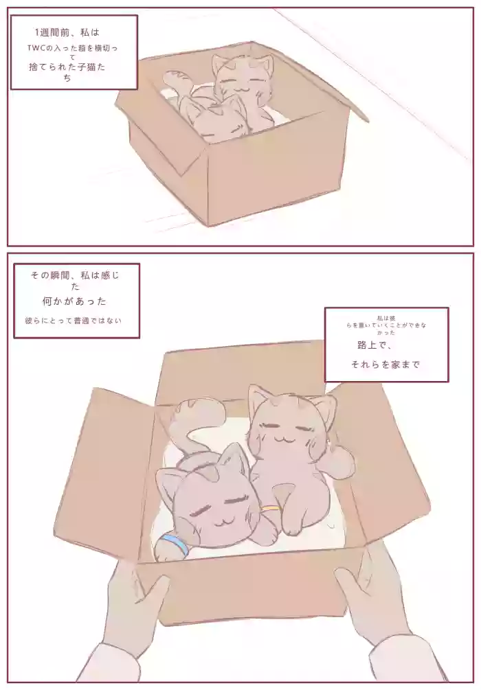 拾った子猫が女の子になりました [BluvyDev]