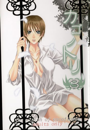 (C68) [Takahashi Kanbanten (Tajima Minato)] Kago no Tori 3 (Tenkuu No Escaflowne)