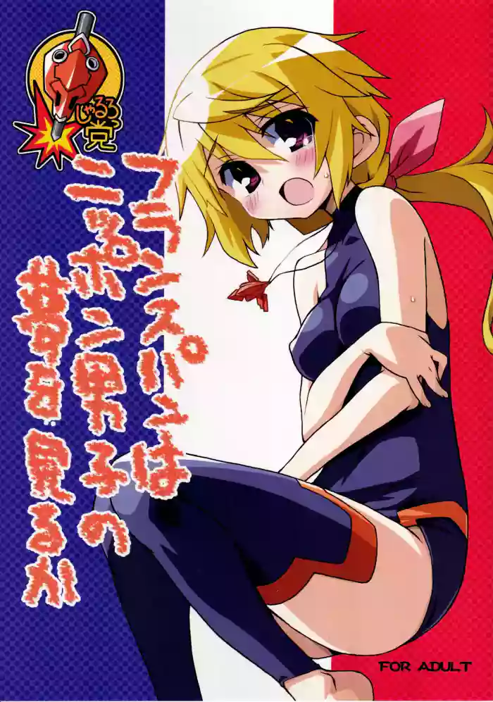 [Kousoku Kaiten (Yagumo Kengou)] France Pan wa Nippon Danshi no Yume wo Miruka (IS <Infinite Stratos>)
