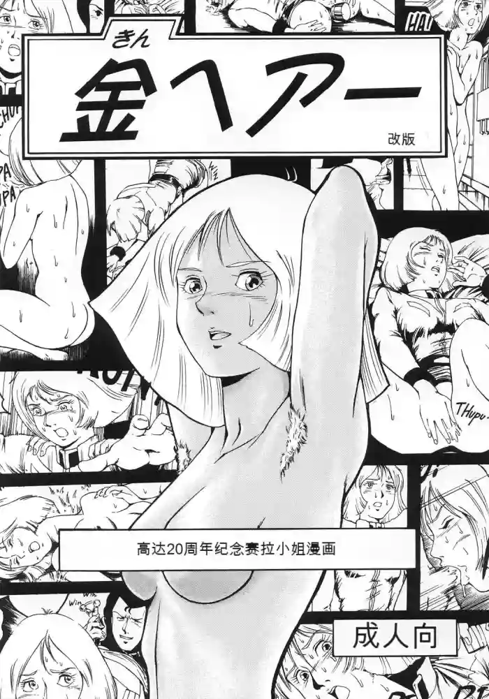 [Skirt Tsuki (keso)] Kin Hair kaitei ban (Mobile Suit Gundam)(机器翻译)