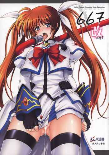 (COMIC1☆4) [Cyclone (Izumi, Reizei)] 667 KAI (Mahou Shoujo Lyrical Nanoha)