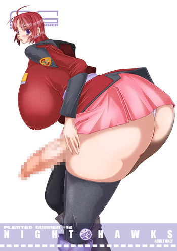 (Puniket 11) [HGH (HG Chagawa)] PLEATED GUNNER #12 (Gundam SEED DESTINY)