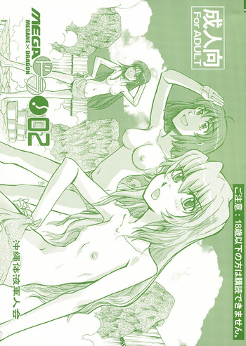 (C77) [Okinawa Taieki Gunjinkai (Yasunaga Kouichirou)] Mega × Dora! 02 (Toradora!)
