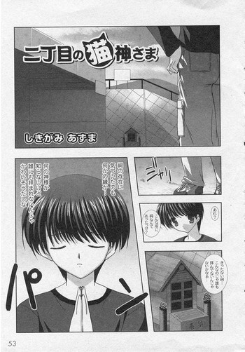 [ShikigamiAzuma]God Chome cat