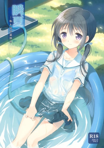 (C82) [Panda ga Ippiki. (Komizu Miko)] Shunka - Watashi to Ani no Natsuyasumi | One Second of Summer - My Brother's and My Summer Vacation [English] [RedBlueGreen]
