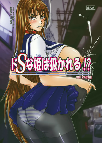 (C82) [Nozarashi (Nozarashi Satoru)] Do-S na Hime wa Shigokareru!?