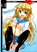 (C83) [Hajimari to Owari (Korikku)] Rakkun wa Dare no Mono? (Nisekoi)