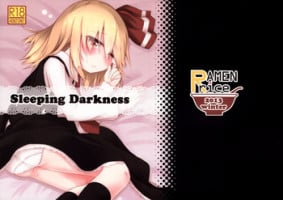 (C85) [Ramen Rice (Rajii)] SleepingDarkness (Touhou Project)
