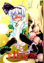 (C81) [Narumiya (Narumiya)] Tama Tama Shippo (Touhou Project) [English] [biribiri]