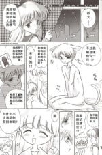 [BLACK DOG (Kuroinu Juu)] Stray Cat (Bishoujo Senshi Sailor Moon) [Chinese]