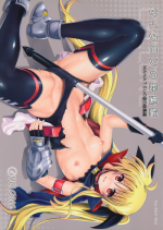 (C88) [Cyclone (Reizei, Izumi)] Cyclone no Soushuuhen - Manatsu no Yoru no Soushuuhen (Mahou Shoujo Lyrical Nanoha)