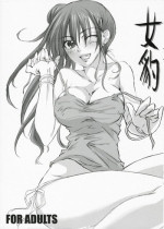 [Flieger (Ten)] Mehyou (Beatmania II DX)