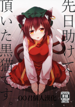 (Touhou Goudou Event 2017 Shinshun!) [Midorineko (Midori)] Senjitsu Tasukete Itadaita Kuroneko desu. (Touhou Project) [Chinese] [oo君個人漢化]
