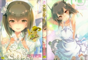 (C92) [Kamishiki (Kamizuki Shiki)] Taihou Collection (Kantai Collection -KanColle-)