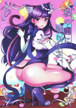 (C92) [Maltese (Runrun)] Watashi no Toriko ni Narinasai (Kirakira PreCure a la Mode)
