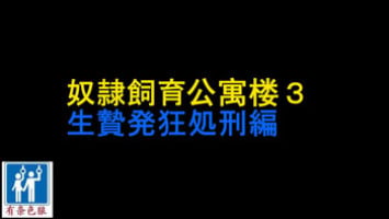 [Naya] Dorei Shiiku Mansion 3 Ikenie Hakkyo Shokei-Hen [Chinese] [有条色狼汉化]