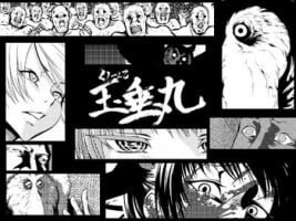 [全裸QQ]くノ一んこ玉垂丸