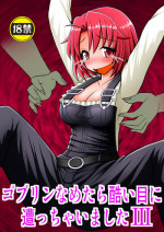 [Asanoya (Kittsu)] Goblin Nametara Hidoi Me ni Acchaimashita III (Goblin Slayer) [Digital]
