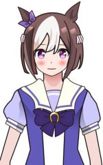 [shochin]Illusts of Umamusume's cosplay girls(http://spaceforadults.network/)