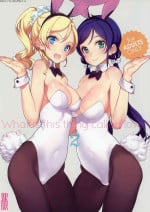 (C86) [Shoujo Kishidan (Oyari Ashito)] What is this thing called love? 2 (Love Live!)