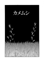 [mitumizo] [Doubutsutachi Seikatsu Zukan] Shiriizu Kamemushi