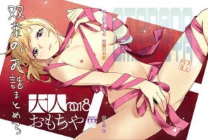[Otonano Omocha (Hirokawa)] ｜ Otonano Omocha ｜ Futaba no Ohanashi Matome 3 [Digital]