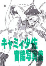 (CR22) [White Elephant (Various)] Cammy Sousa Kannou Shashinshuu (Street Fighter)