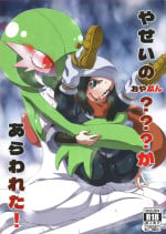 (C101) [Hanyayashiki (Hanya/)] Yasei no oyabun sānaito ga ka arawa reta! (Pokémon)