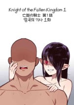 [6no1] Knight of the Fallen Kingdom 1 (23.02) [Japanese] [Uncensored]
