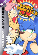 Sonic Pinball’d- senshion [sonic the hedgehog]