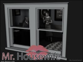 Mr. Housewife- KaraComet